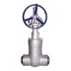 Pressure Seal Gate Valve