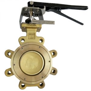 C95800 HIGH PERFORMANCE BUTTERFLY VALVE (1)