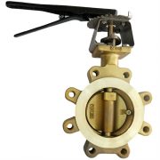 C95800 HIGH PERFORMANCE BUTTERFLY VALVE (2)