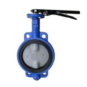 Resilient-Seated-Concentric-Butterfly-Valve